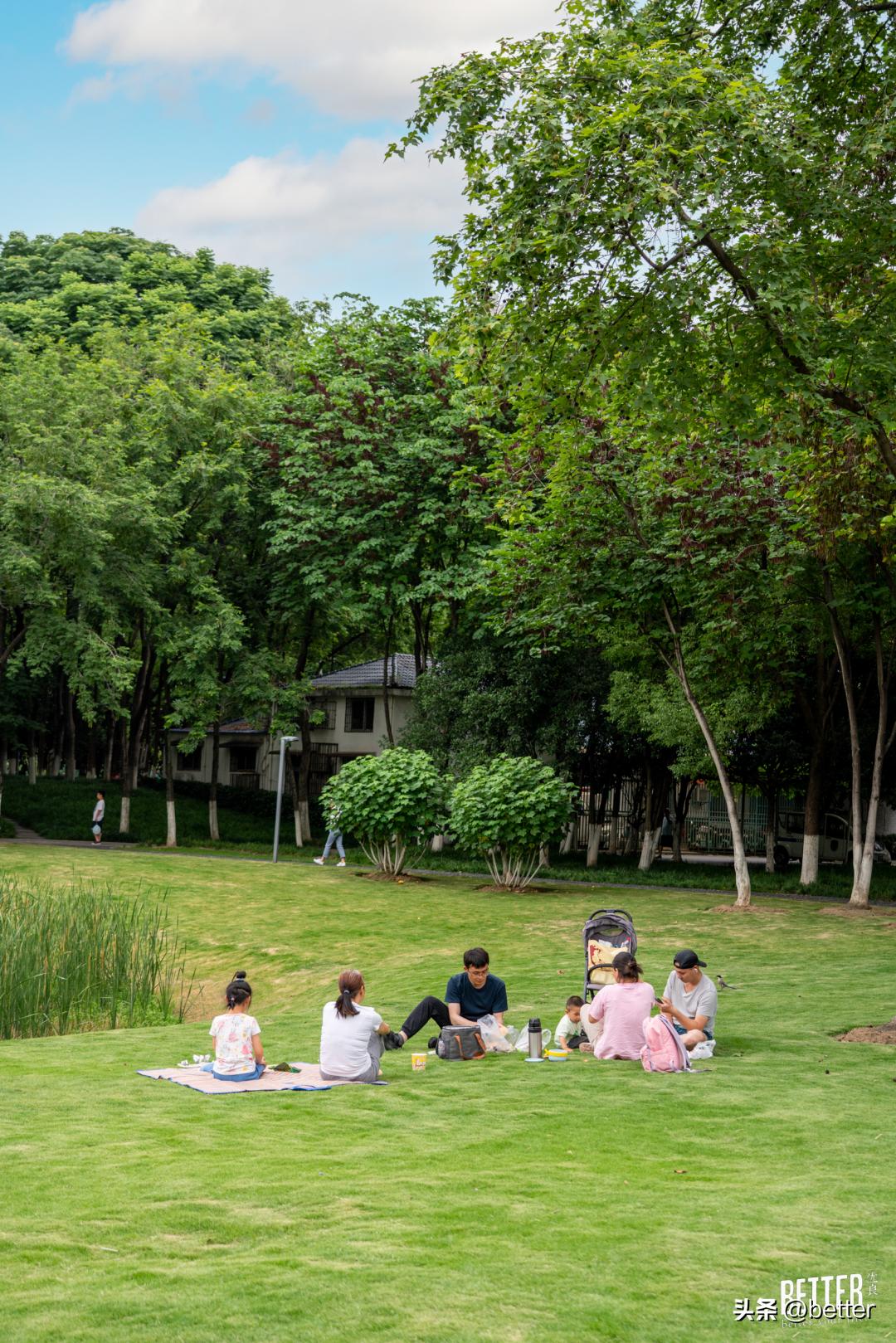 城中3处小众宝藏绿地，一起去散个步吗