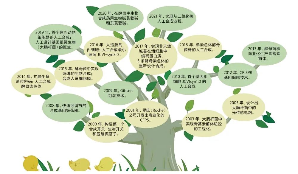 走进合成时代工厂,走进生物实验室