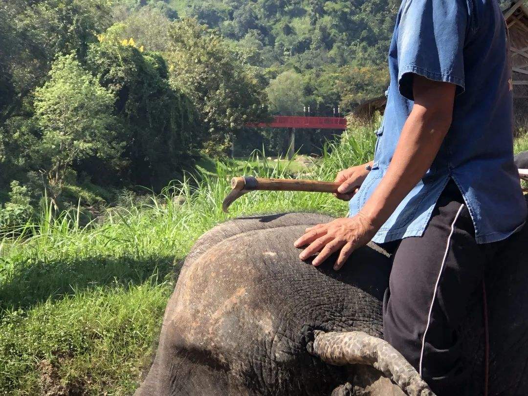 唯一被绞刑的人,唯一被凌迟处死的人