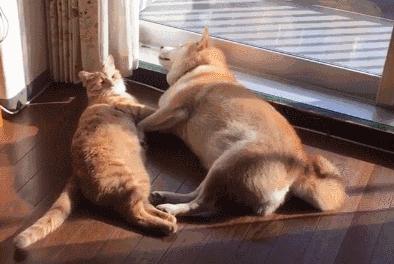 冬天手脚冰凉只需一招,冬天容易手脚冰凉是怎么回事