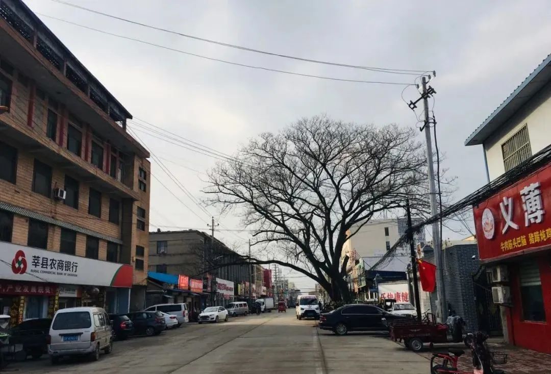 河南范县和山东哪个县互换的,河南范县是贫困县吗