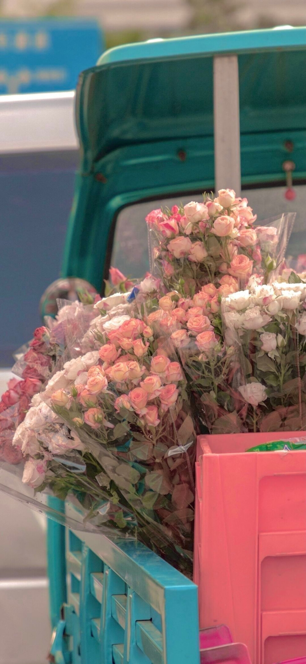 街角花店图片壁纸,花店壁纸图片大全