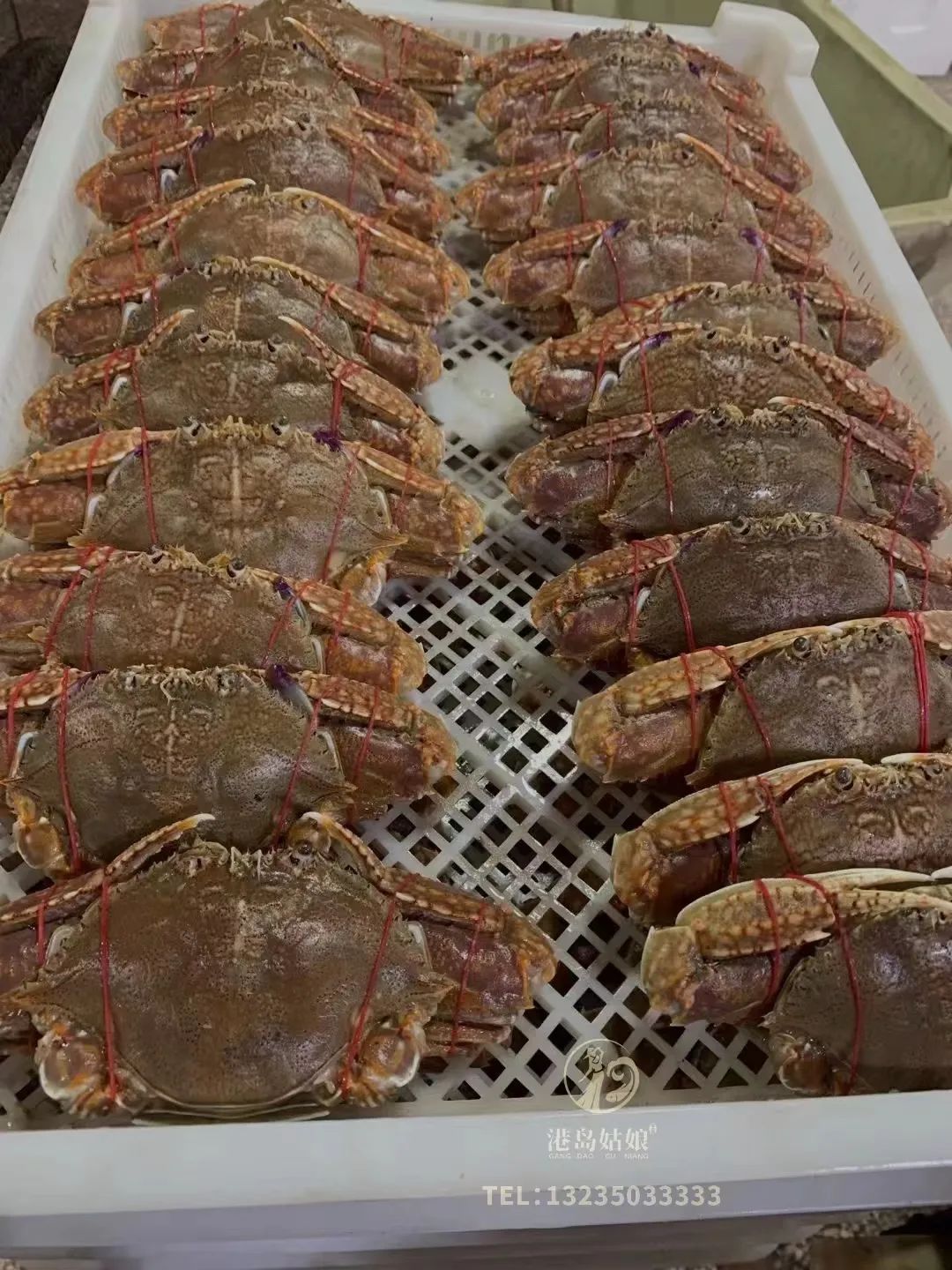 扁蟹的市场销售价格,扁蟹出口哪个国家