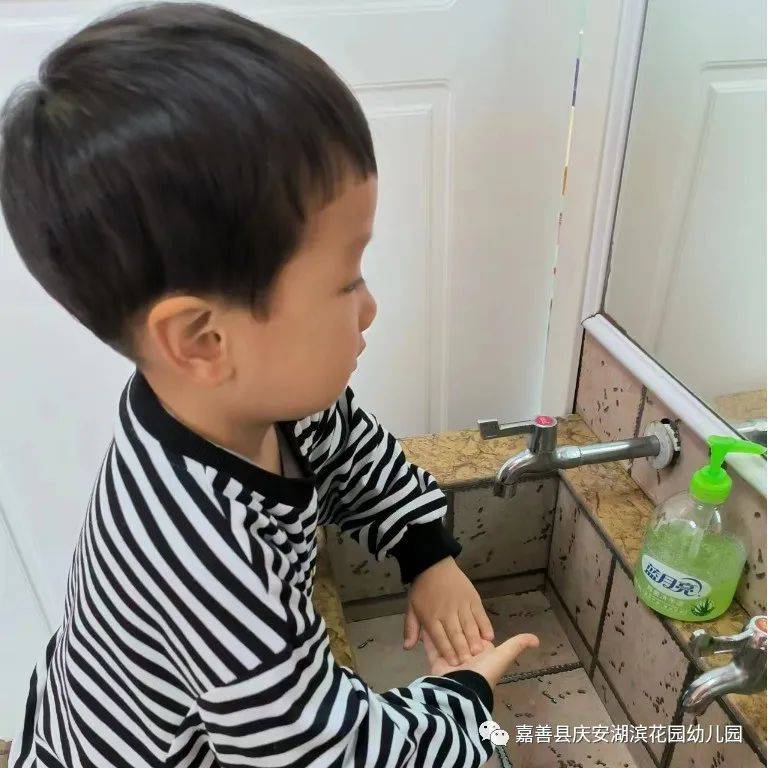 小手的探秘之旅|嘉善县庆安湖滨花园幼儿园小班组课程故事