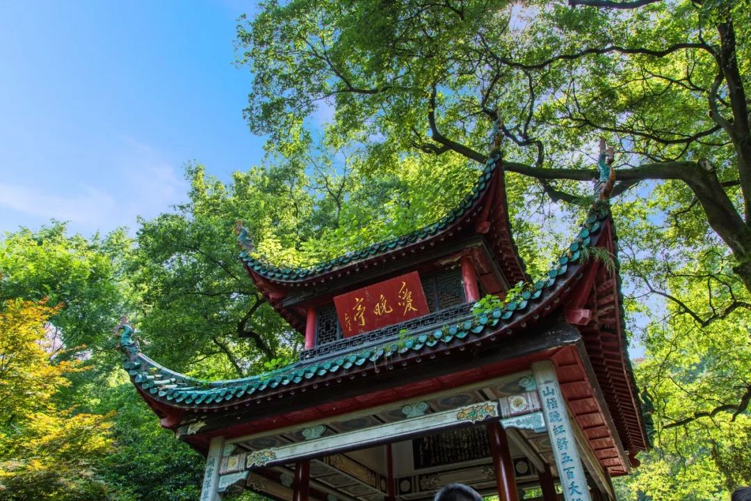 100篇美到极致的古文,10篇最美古文