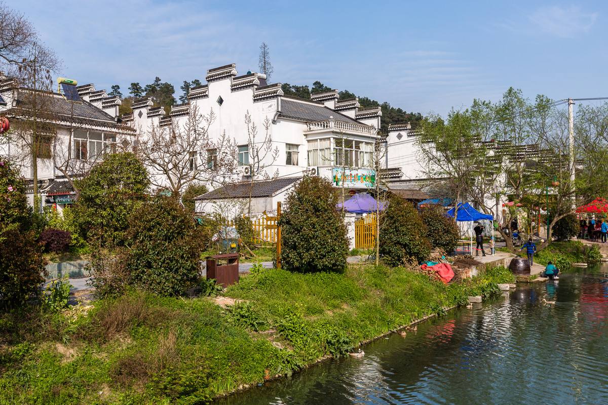 南京春游推荐石塘竹海景区,南京石塘竹海怪坡