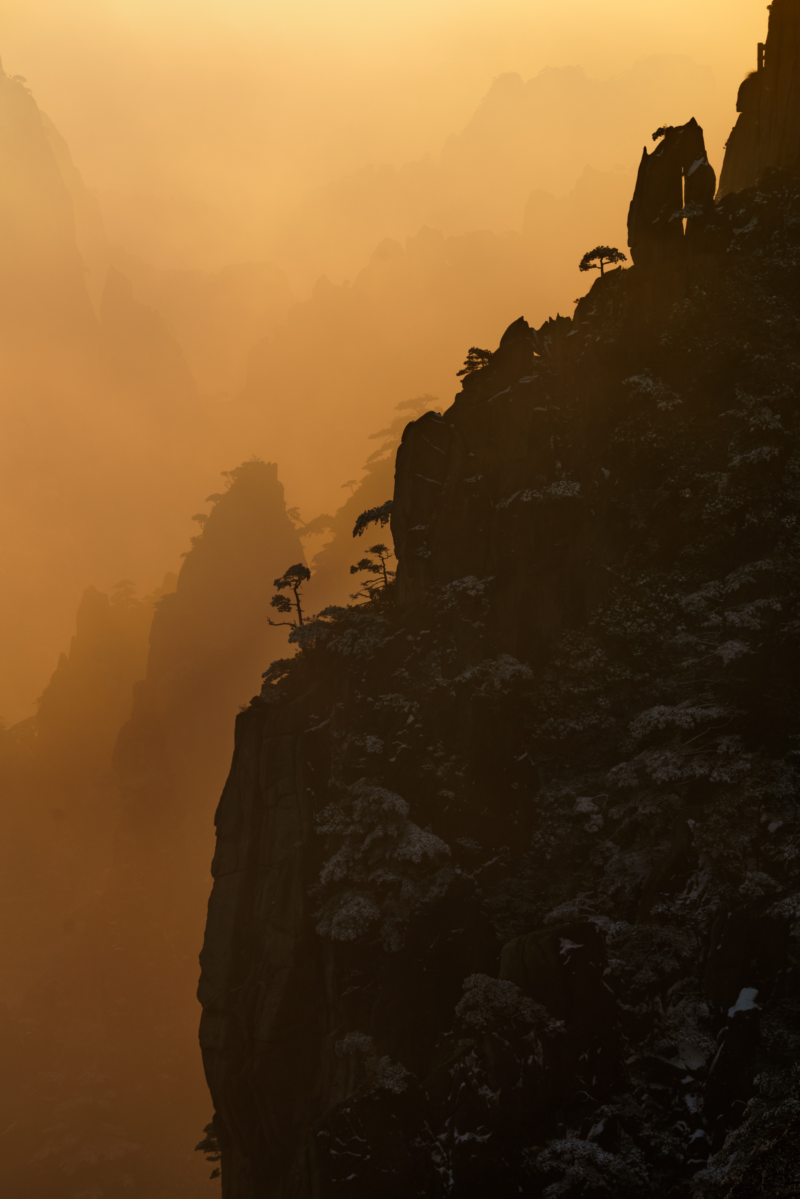 拍野生动物摄影作品,拍动物风景