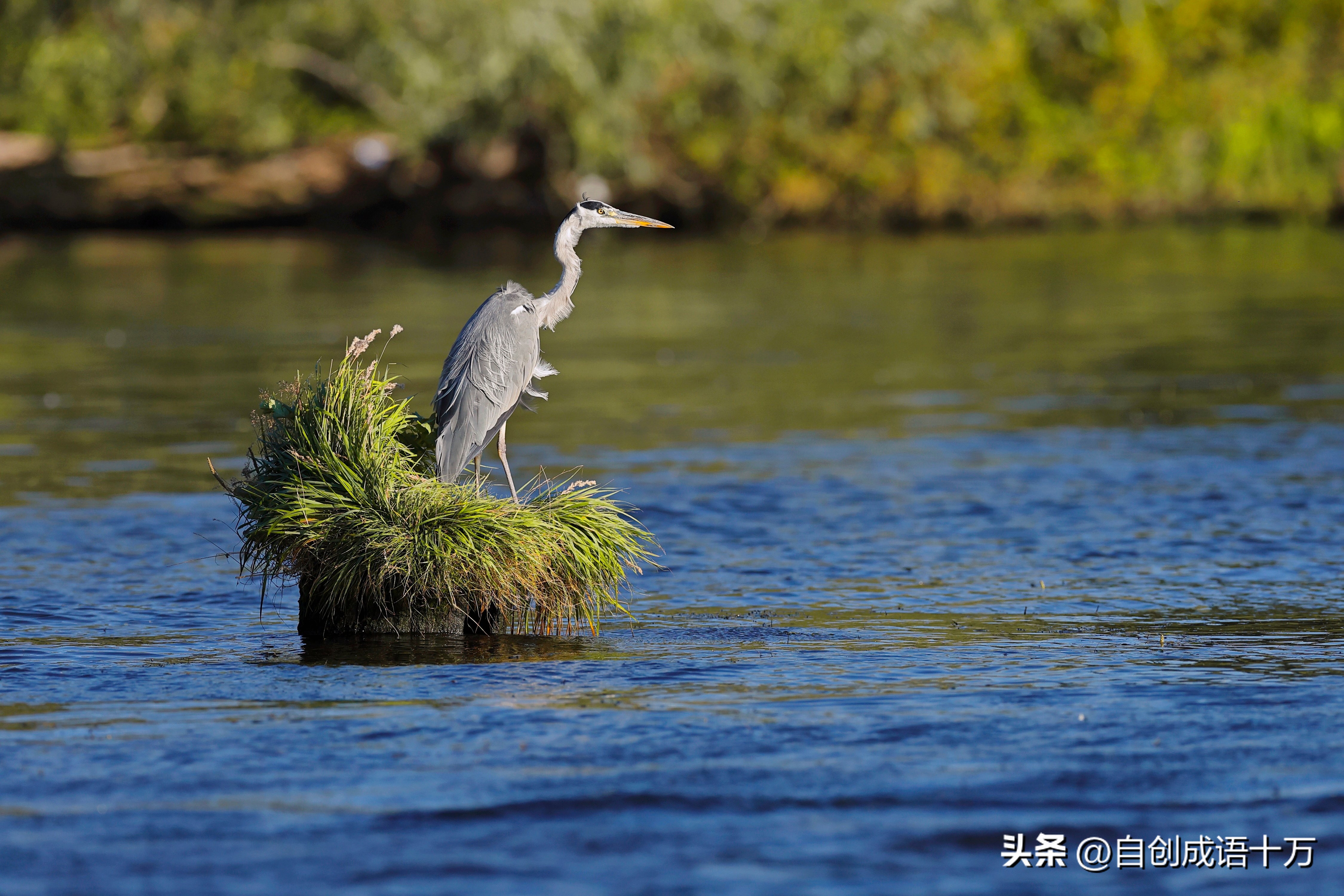 《沙甸方言词典》上集连载：二