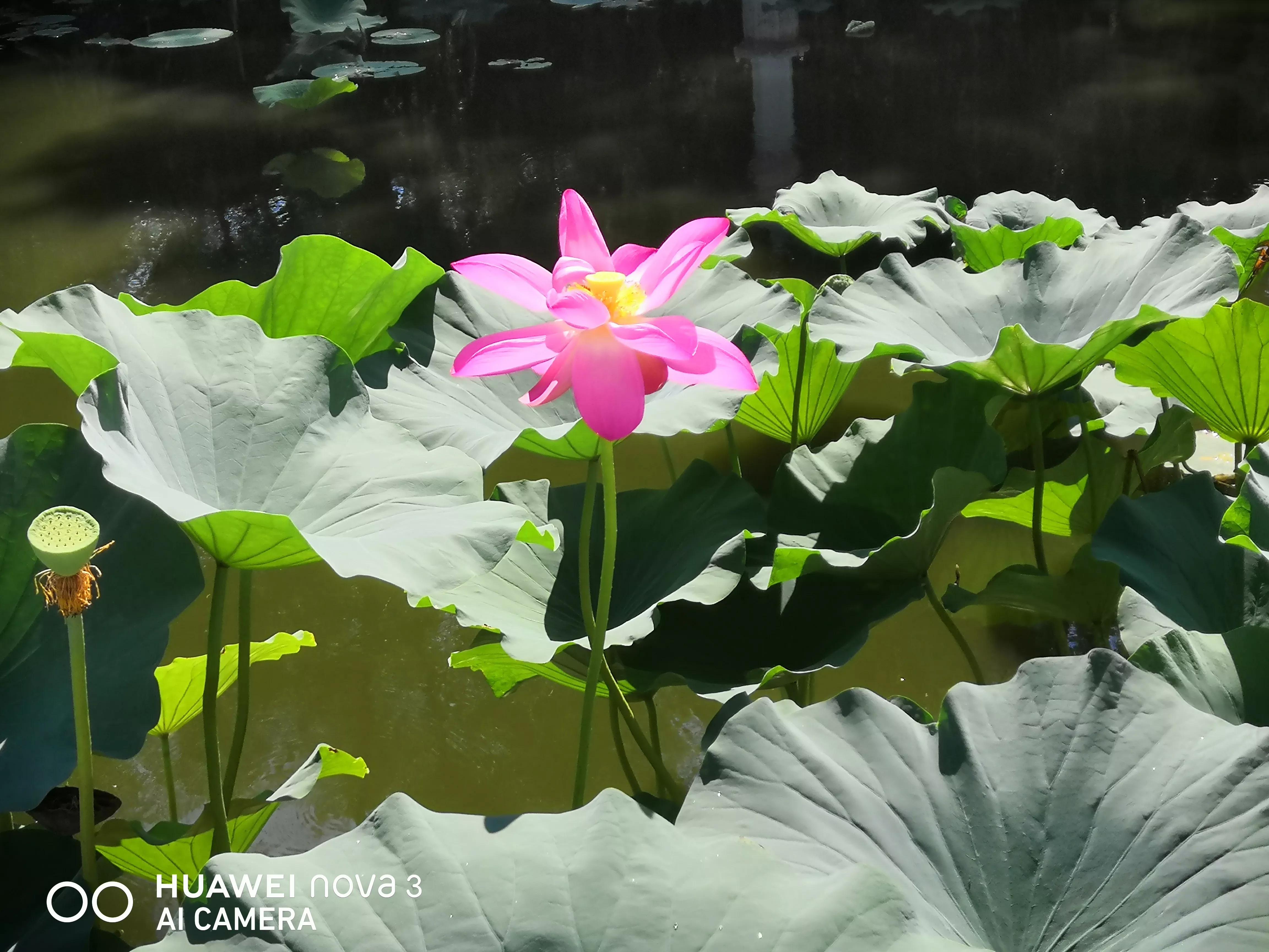 为何叫八大处,八大处从何而来