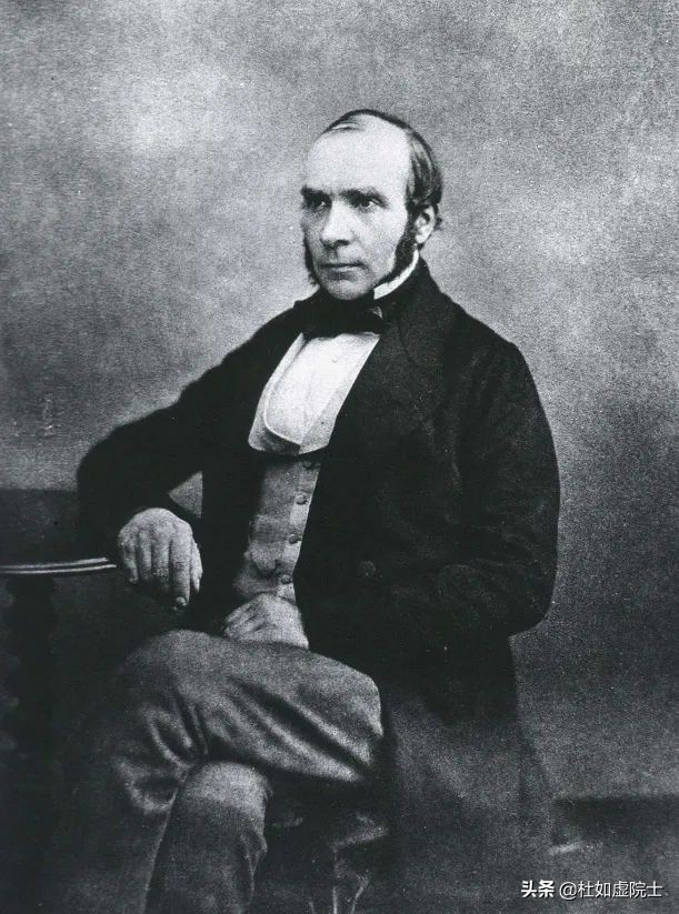 如虚,如虚什么意思