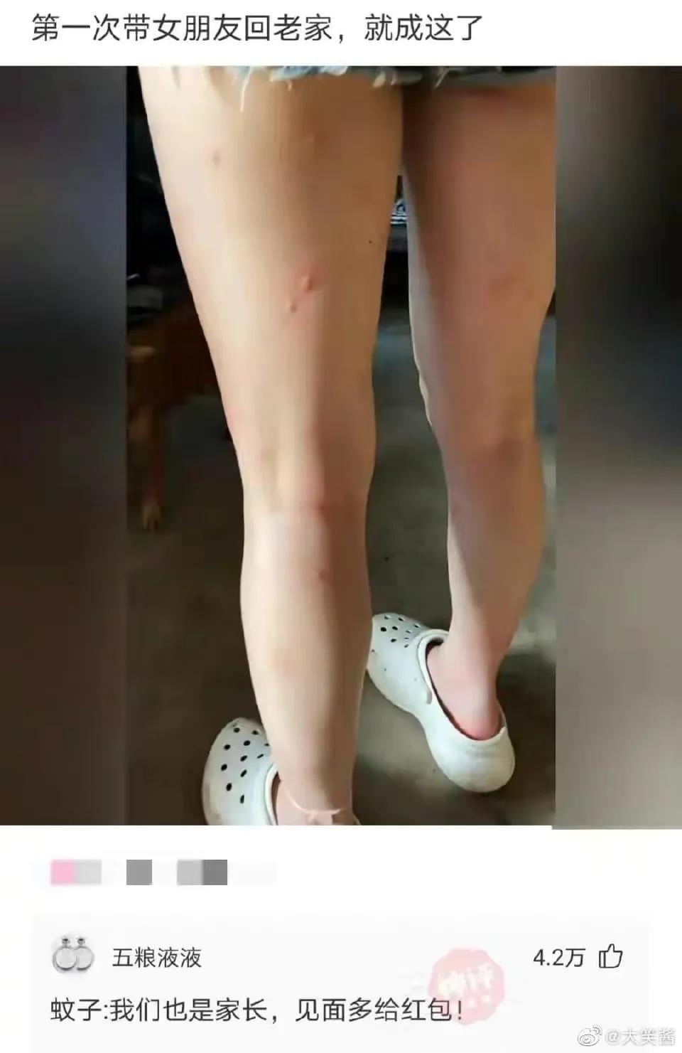 爆笑神评笑死人,搞笑爱情神评