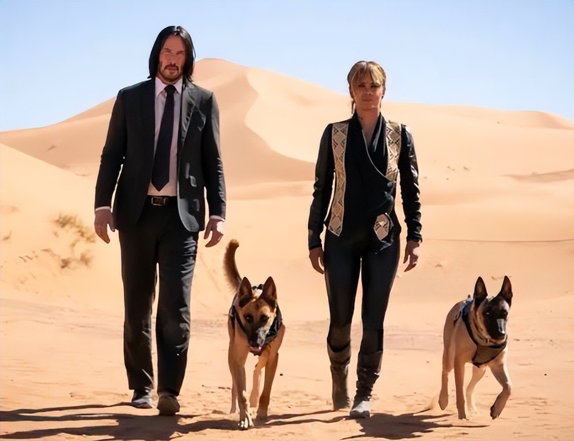 五部超猛刺激的枪战动作电影推荐,5部场面暴爽的枪战动作电影