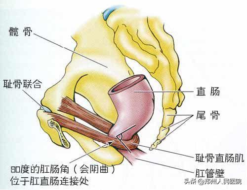 粑粑拉不出来是为什么,粑粑拉不出来按哪里