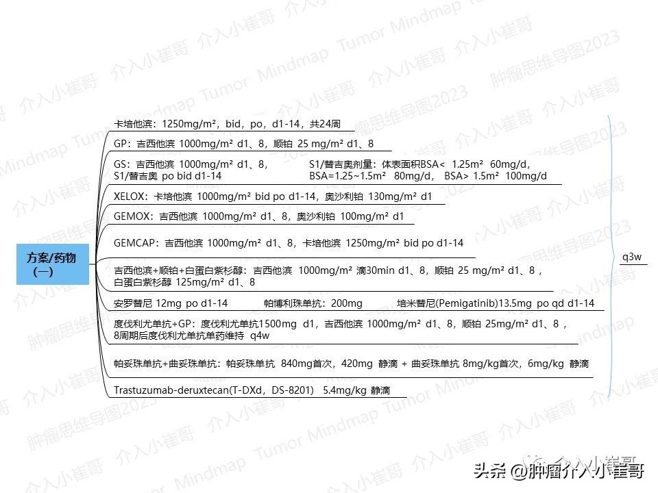 CSCO2023肿瘤思维导图胆囊癌诊疗指南
