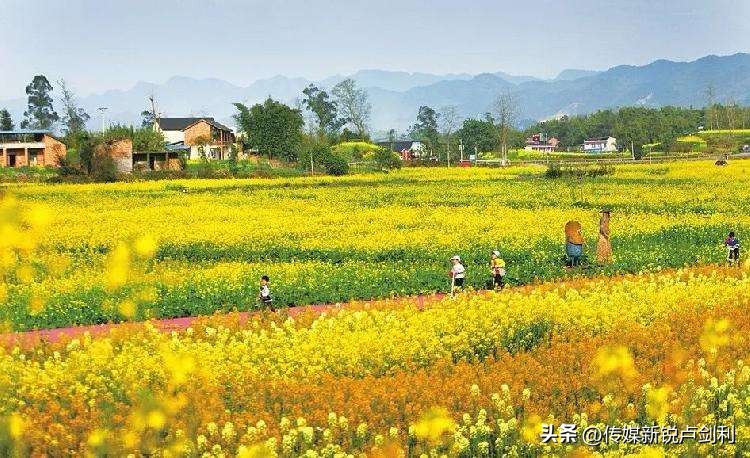 乡村旅游市场策略有哪些,乡村旅游营销策略图片
