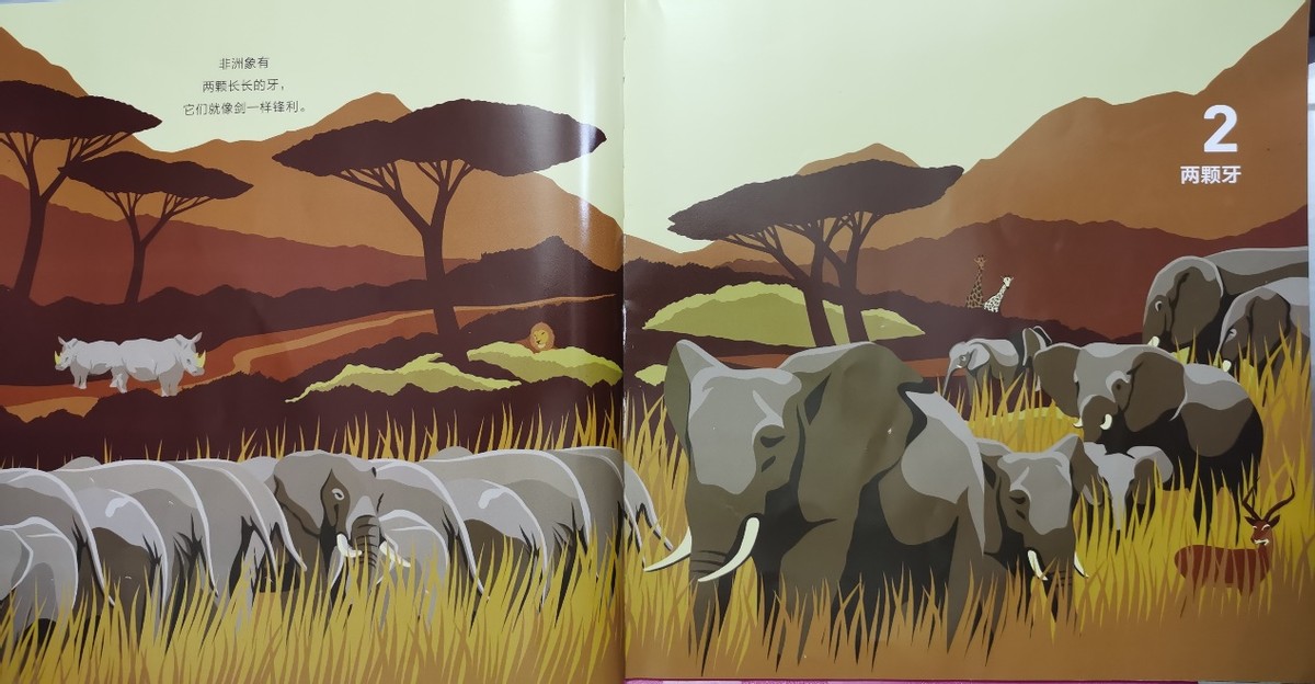 绘本和我一起数星星,儿童绘本推荐3-6岁星星主题