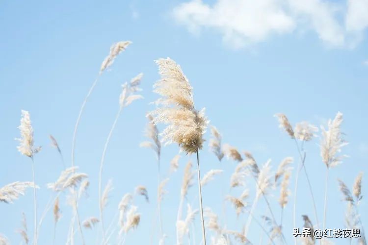 解决工作生活压力的方法,在工作中缓解压力的方法