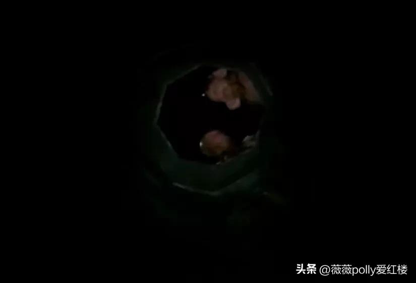 乌鸡国除妖两版对比,86版除妖乌鸡国