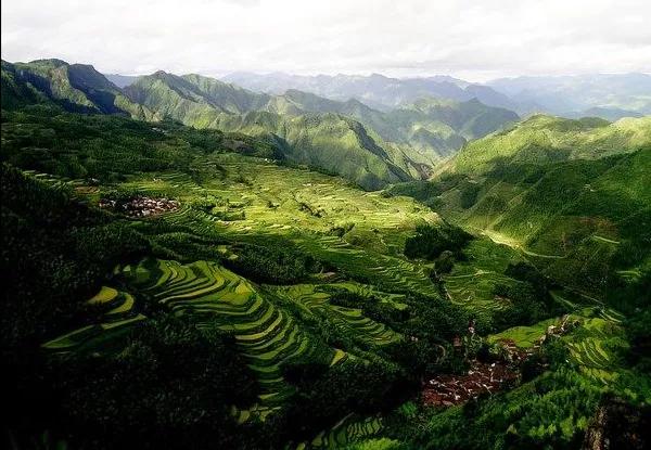 自由诗意：对《五排·晚秋感吟（平水韵/一东）》的注引解释