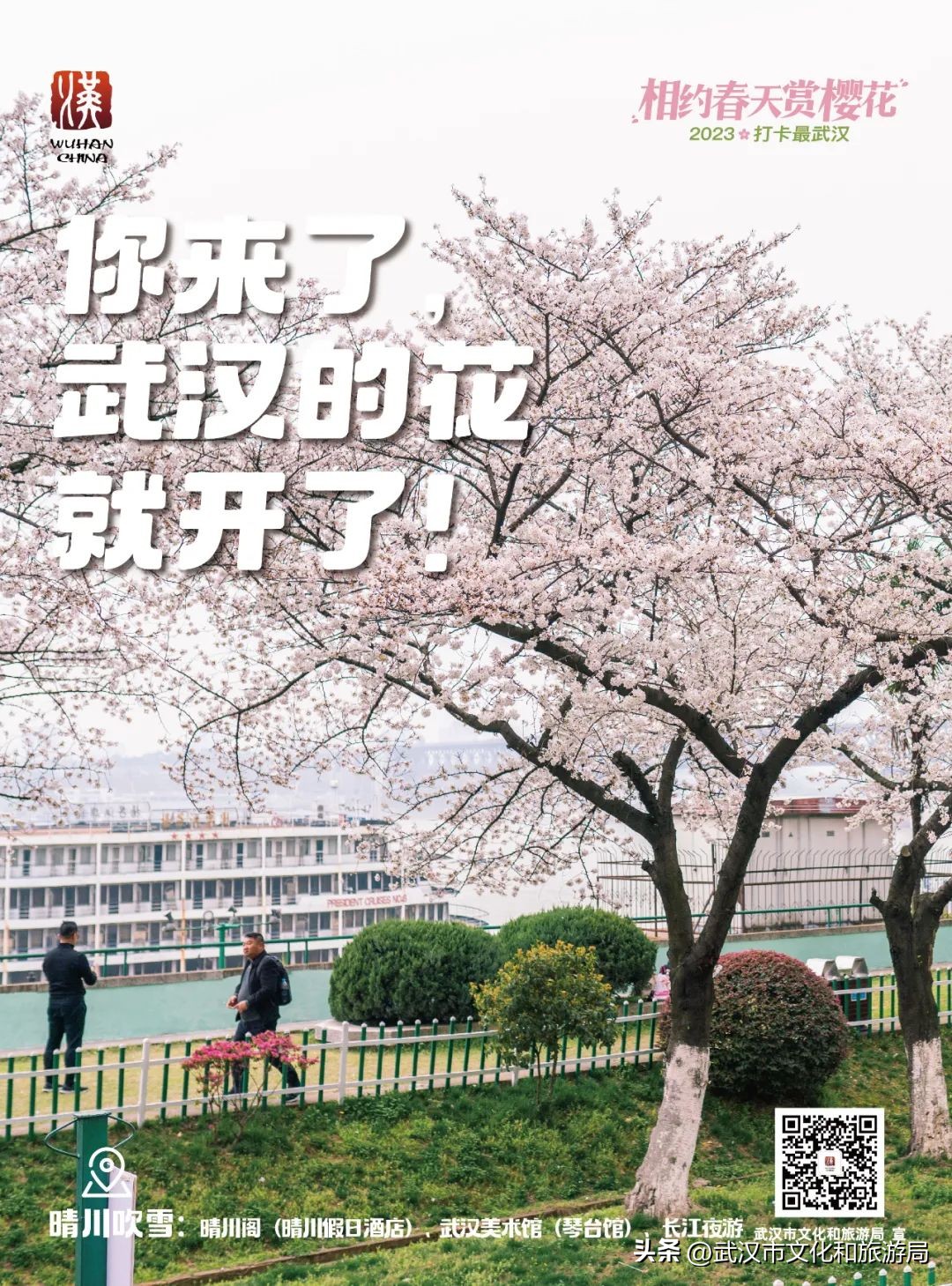 武大赏樱怎么样预约,武大开设医护免预约赏樱通道