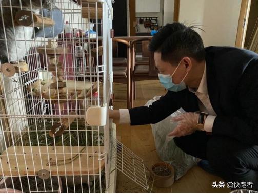 茅台冰淇淋为茅台带了多少收益,茅台冰淇淋一年卖出近1000万杯