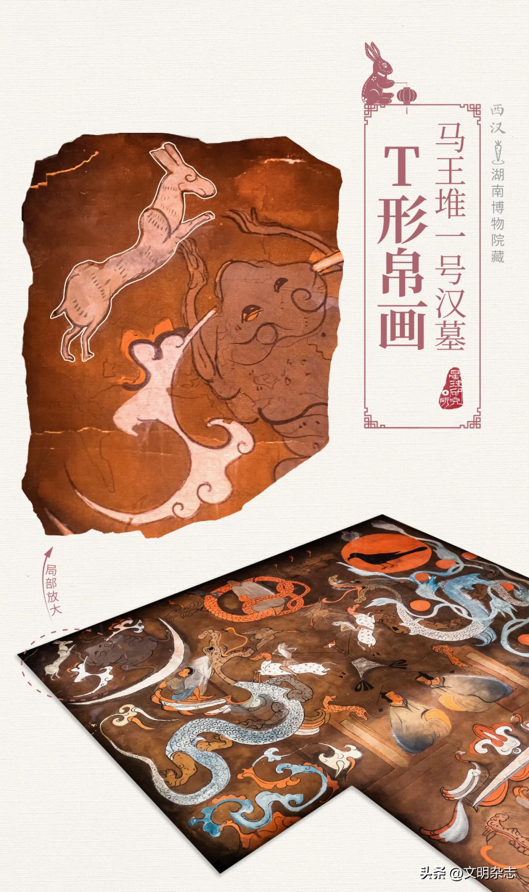 兔子来阳台,兔子来到新家