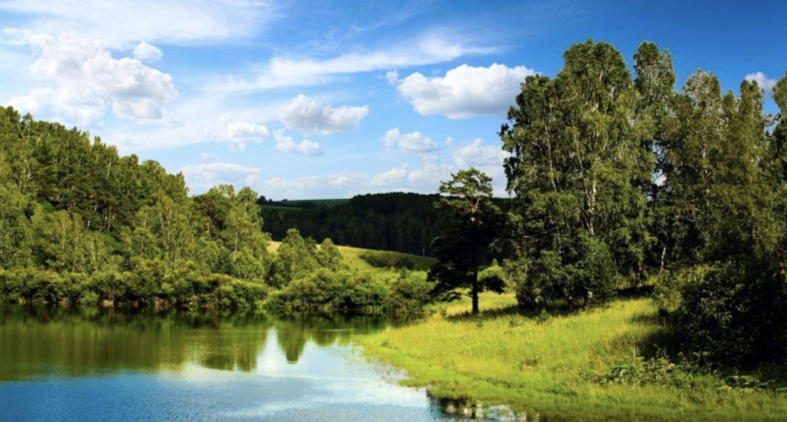 狮子座和其他星座的关系,如何跟狮子座相处感情会越来越好