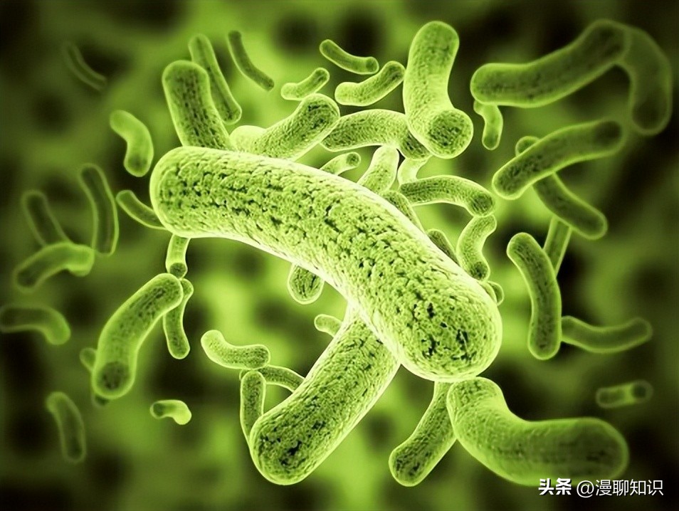 妇阴康洗剂效果怎么样,妇阴康洗剂是抗生素药吗