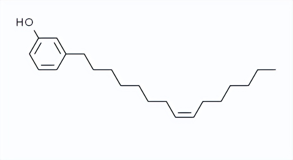 腰果酚型环氧固化剂,腰果酚固化剂的优缺点