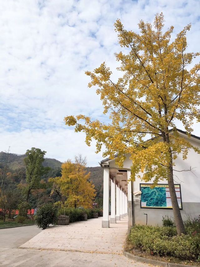 杭州周边赏秋好去处,杭州赏秋最佳攻略