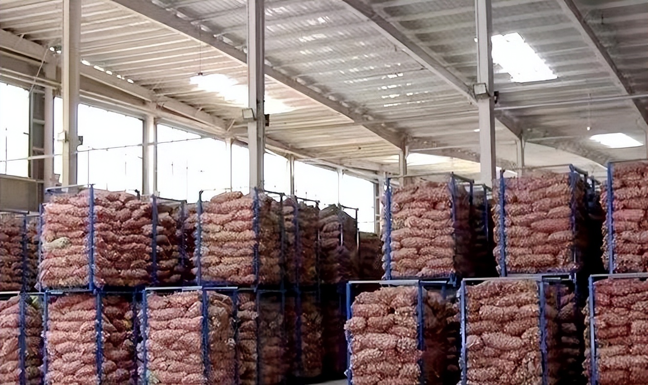 中国大蒜之乡邳州,金乡大蒜与邳州大蒜对比