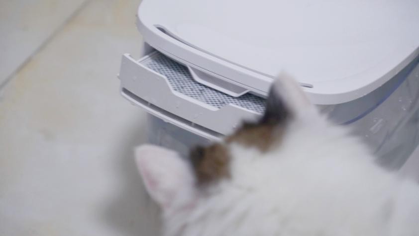 猫咪饮水机自动循环过滤测评,猫咪饮水机免过滤