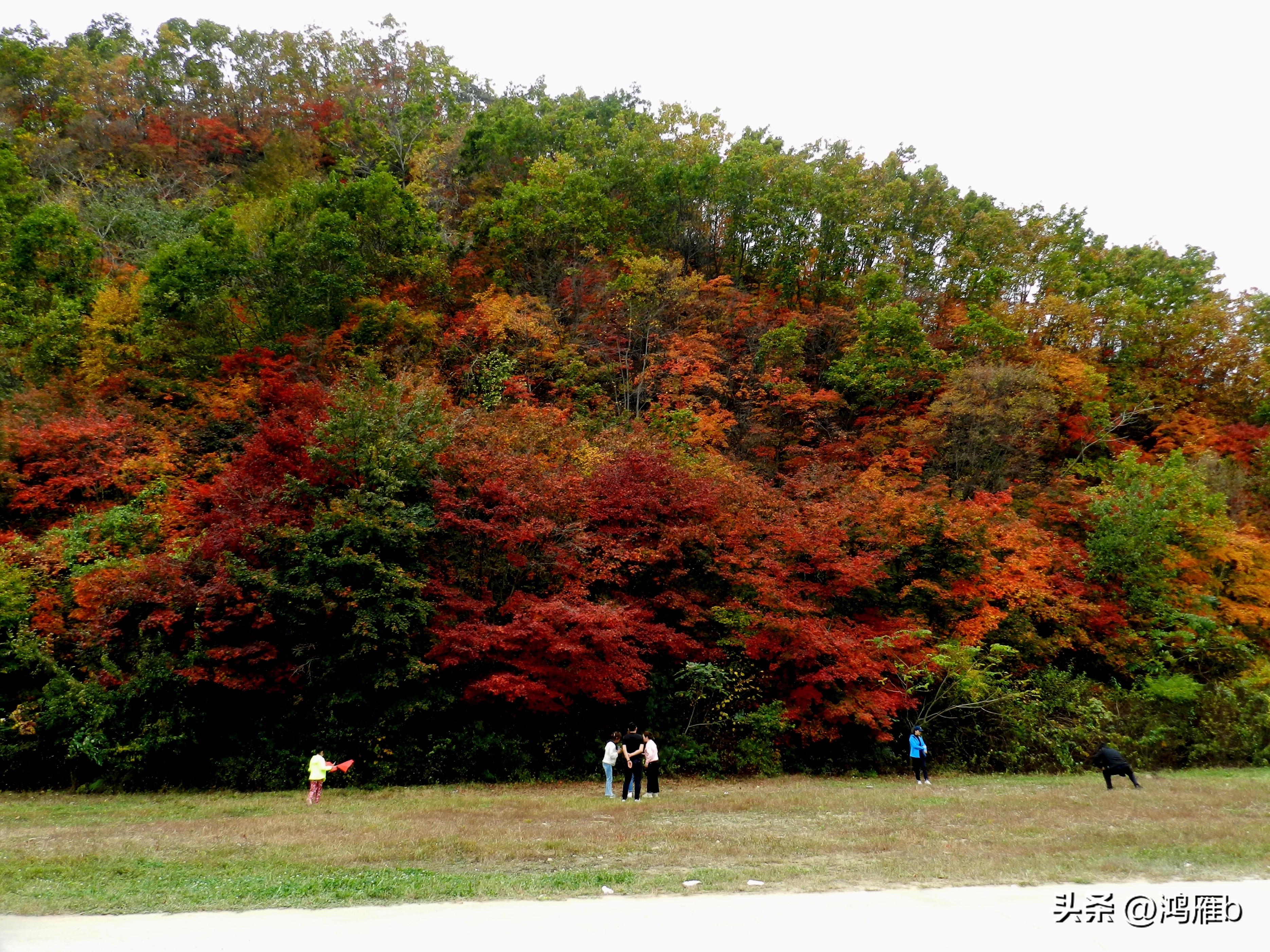 本溪温泉汤沟门票价格,本溪花溪沐枫雪温泉小镇