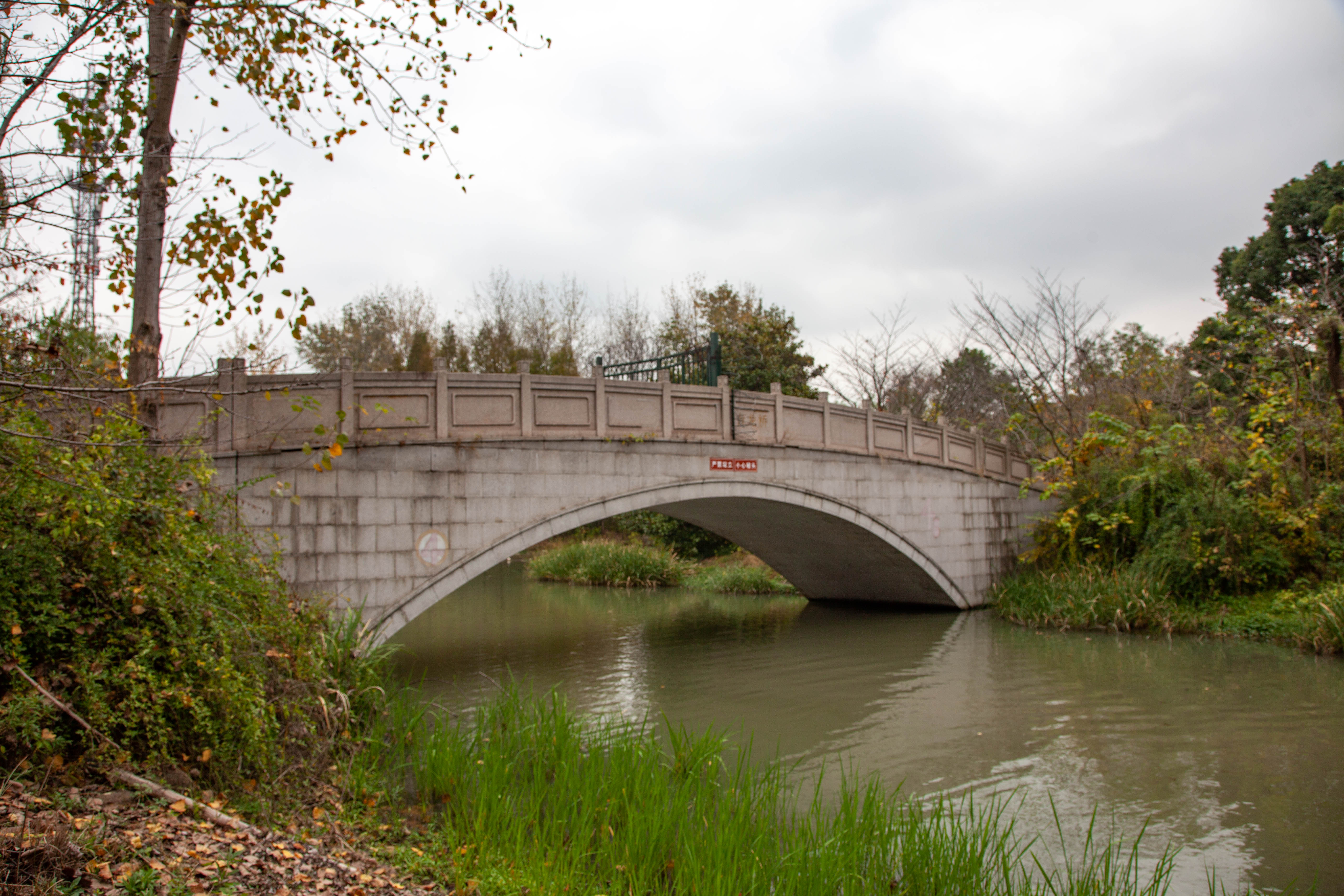 宝山顾村历史,上海宝山顾村老街