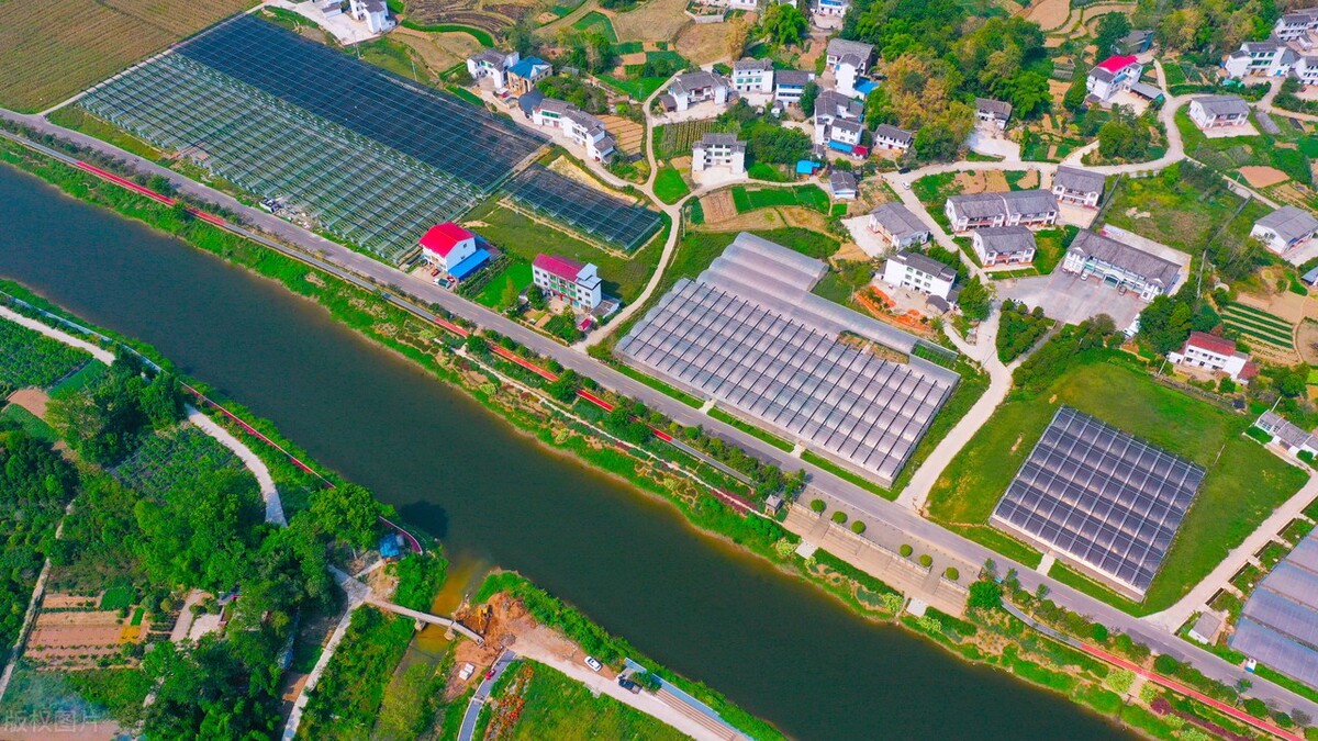 生态农业做什么最赚钱,生态农业前景如何