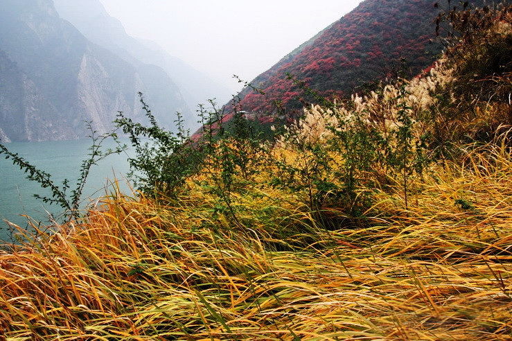 廿万公里六章，要看两岸猿声啼不住，只需要在大昌古镇150元租船