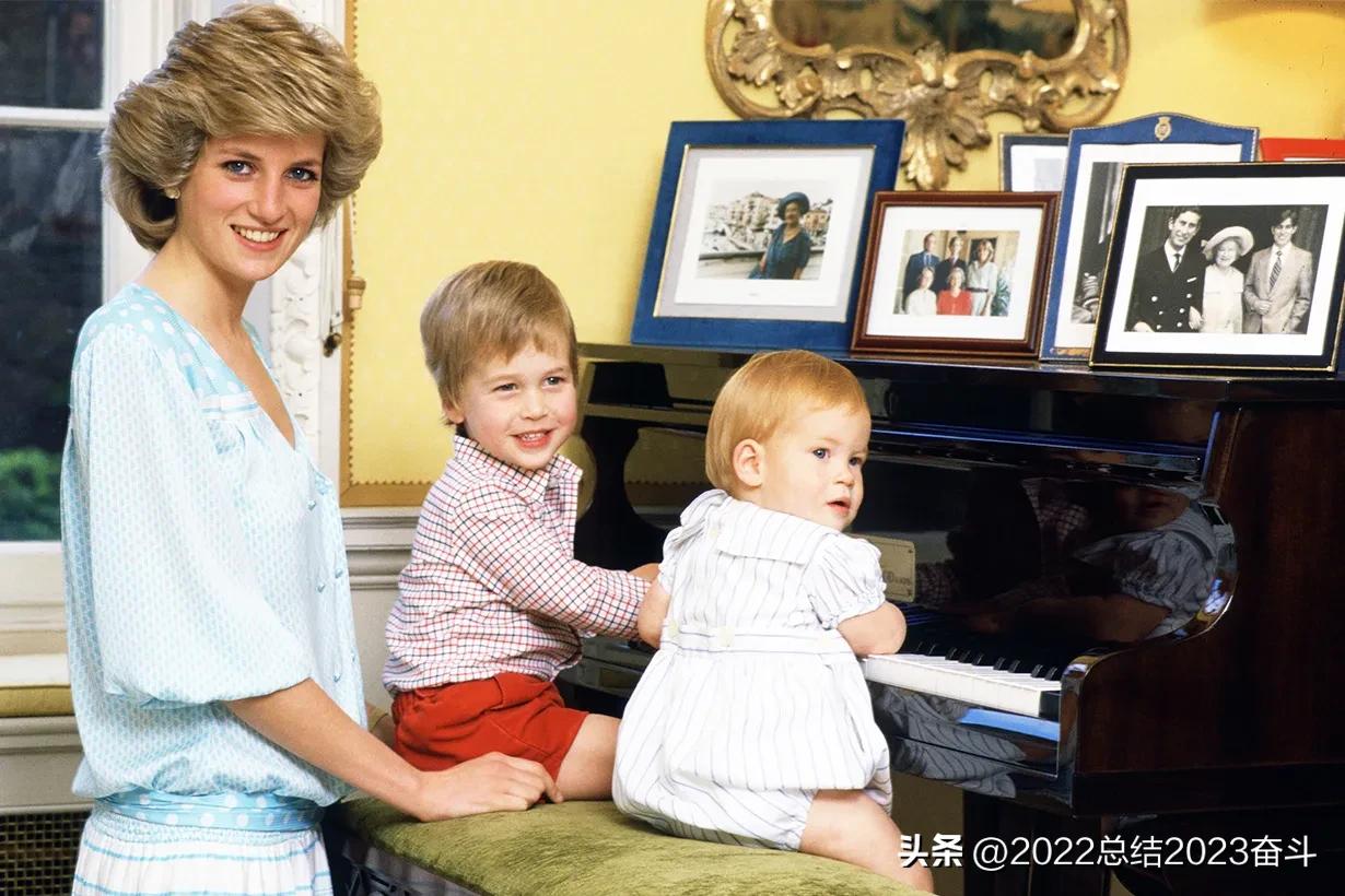 哈里王子新书备胎,哈里王子拟出回忆录