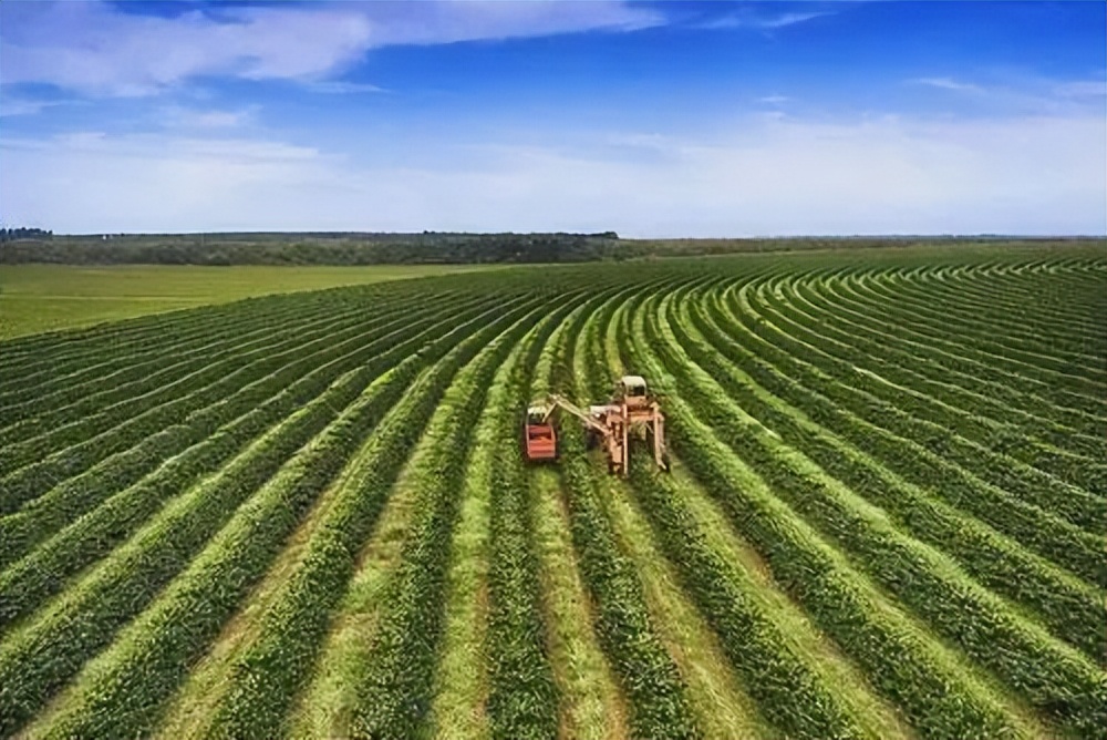 美国近期和中国的最新消息,美国有进行粮食制裁吗