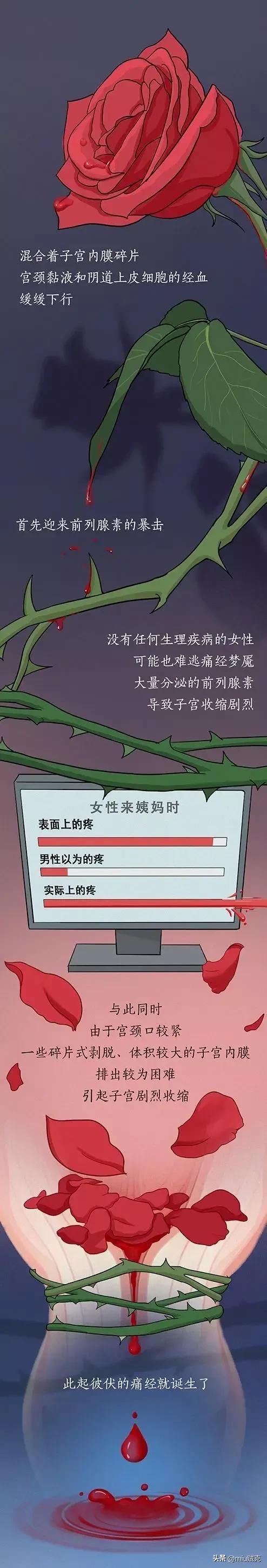 女生大姨妈科普漫画,女生来大姨妈有多疼漫画