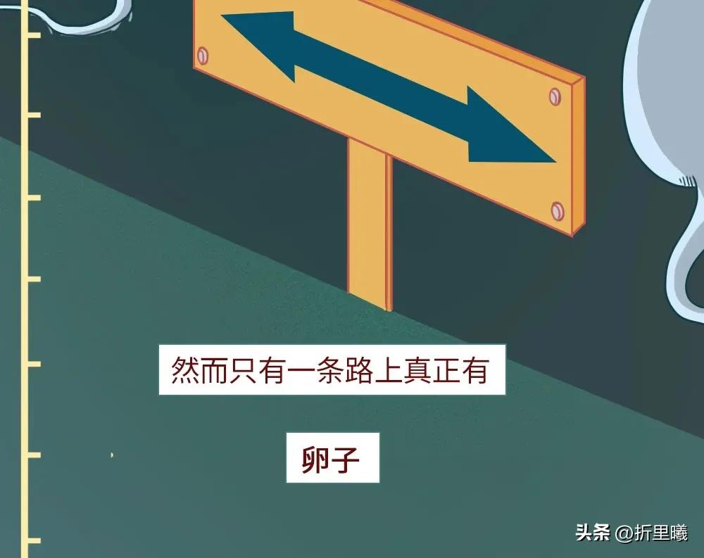 精子进入女生体内的24小时全过程曝光！