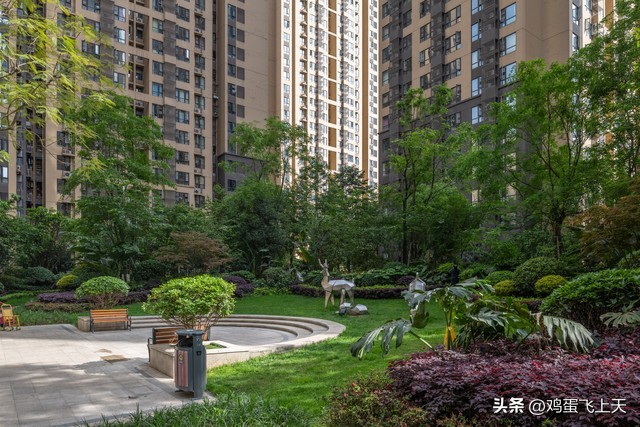 减缓热岛效应的城市规划措施,屋顶绿化对缓解热岛效应的意义