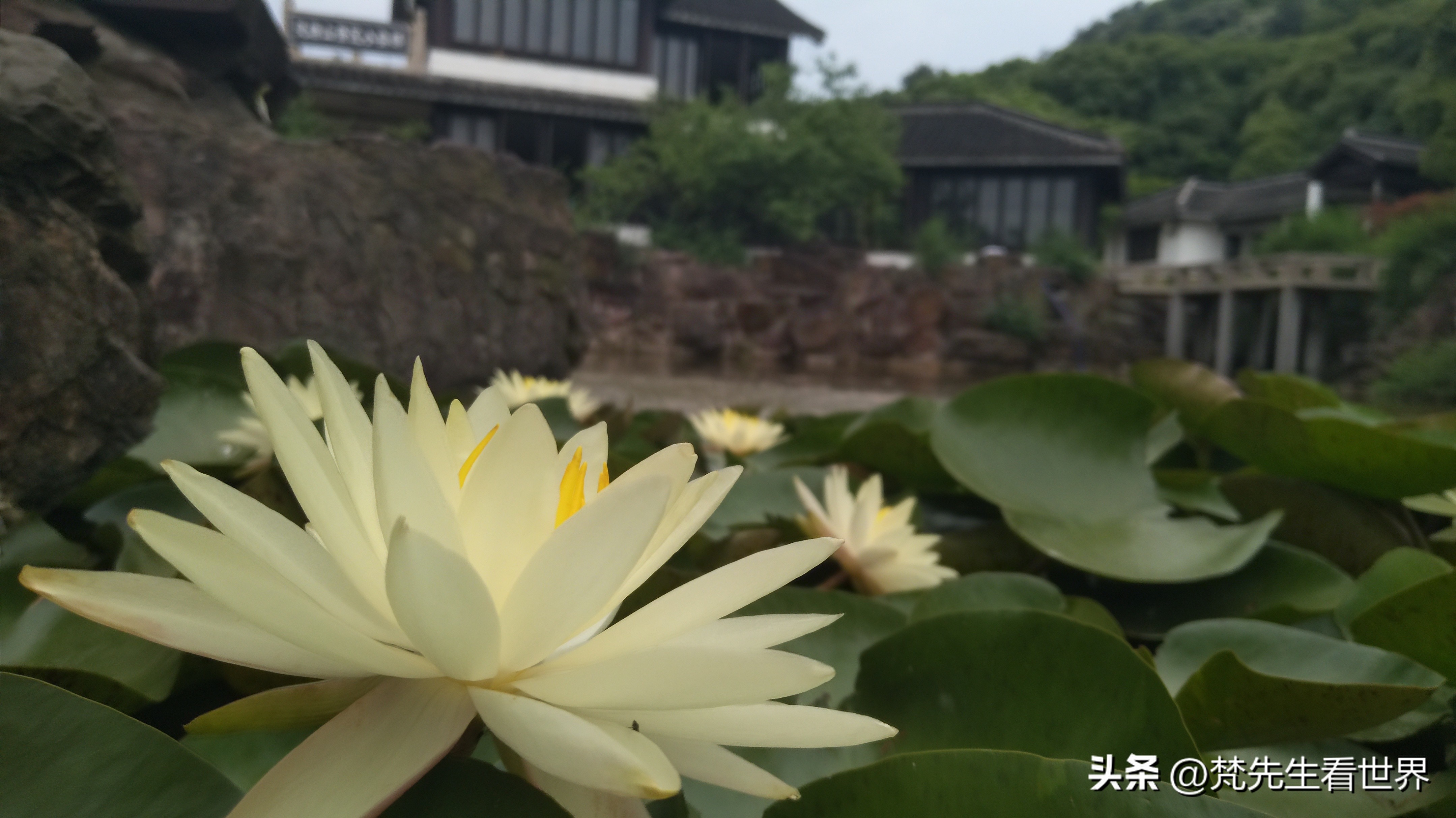 中国人压力越来越大幸福感在哪里,现代人的幸福感为什么越来越少