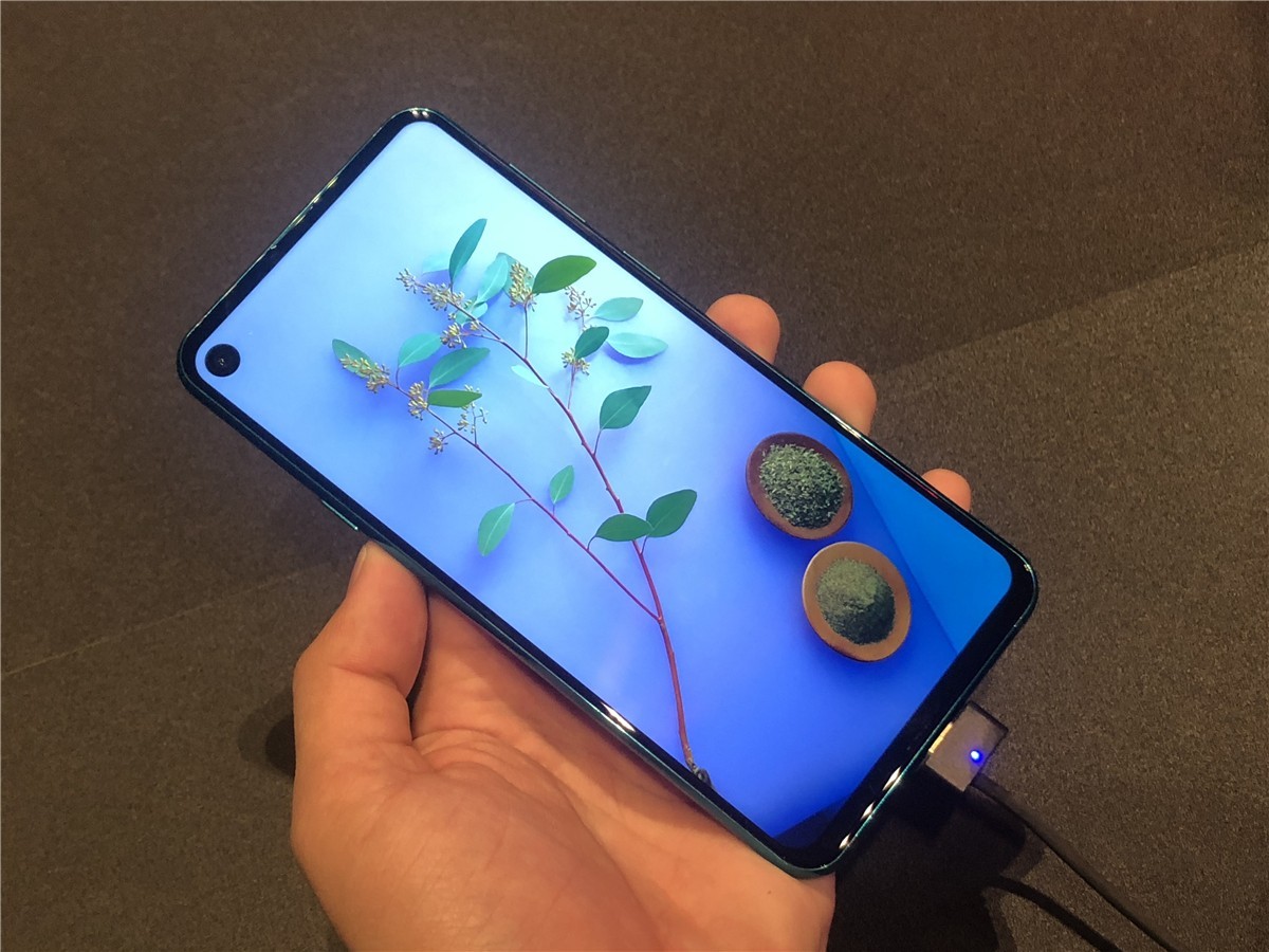 无任何开孔的手机,没有开孔屏幕的手机