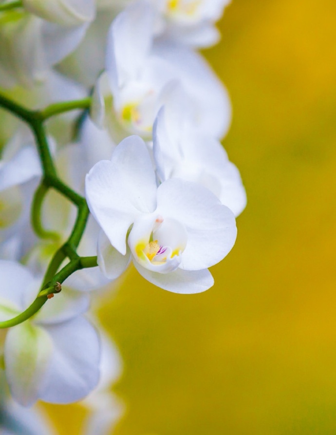 不管夫妻还是情人，若对方不联系你了，这么处理才最聪明