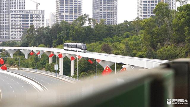 深圳首条云中巴士,深圳双层巴士旅游观光线