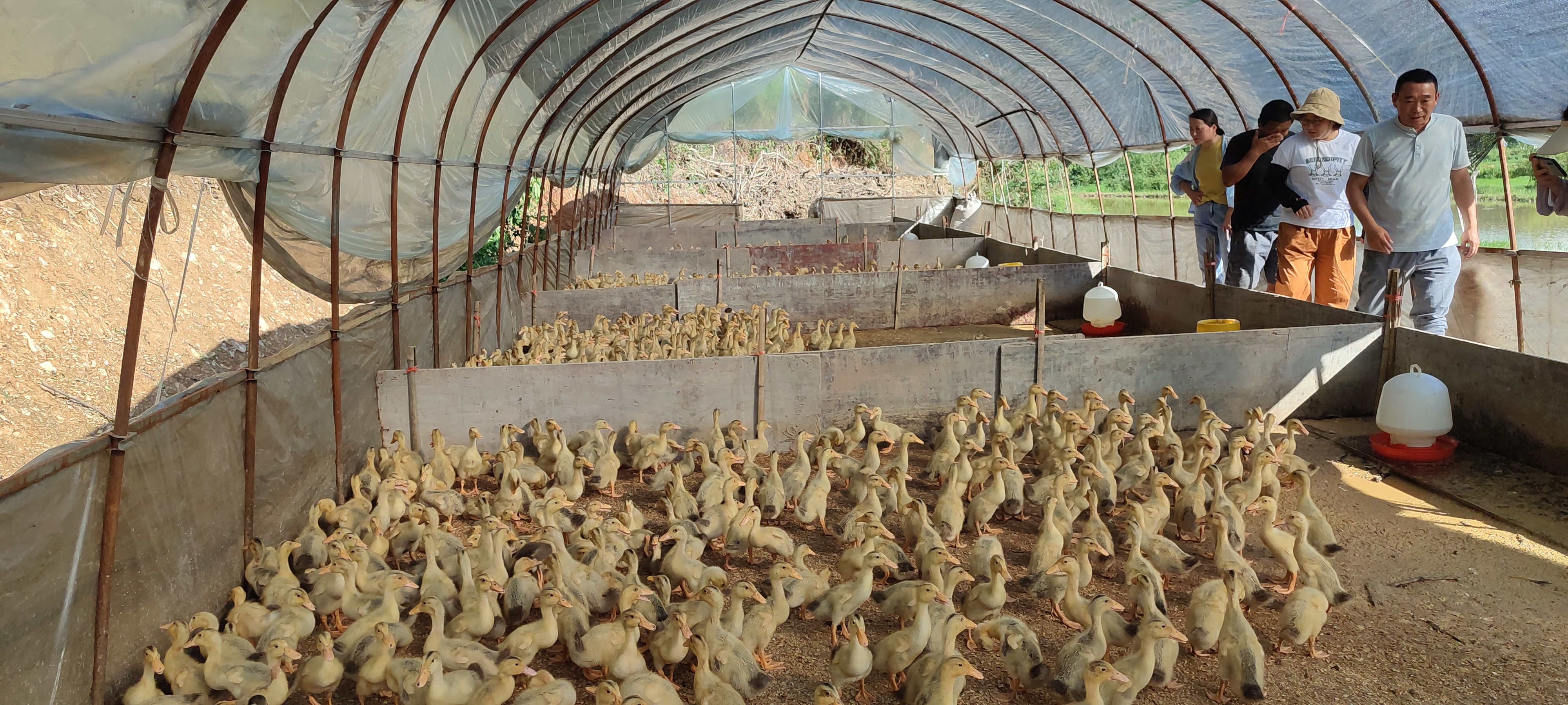 瀹夊窘榛勫北浼戝畞婧彛闀囩煶鐢版潙,榛勫北浼戝畞婧彛闀囩煶鐢版潙