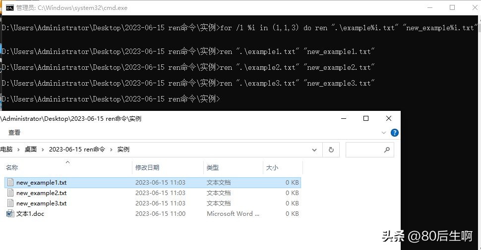 ren命令的批量使用方法,如何用ren命令批量修改不同文件夹