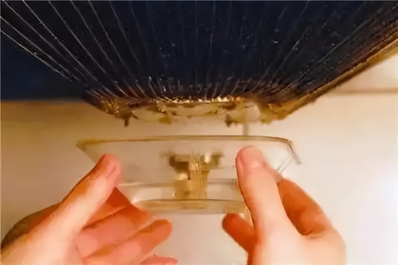 油烟机里的废油怎么处理可以浇花,油烟机的废油处理方法