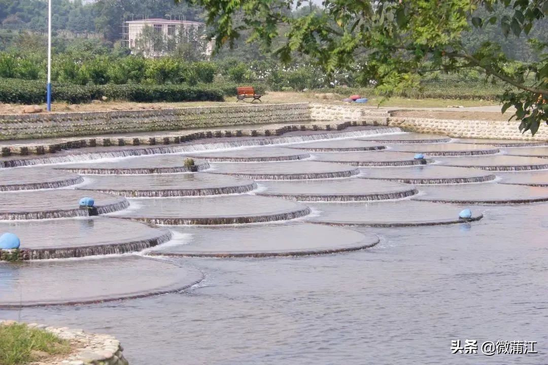 【新蒲江人】成都蒲江县乡村规划师邓小玲：扎根基层10年做乡村和规划之间的“桥梁”