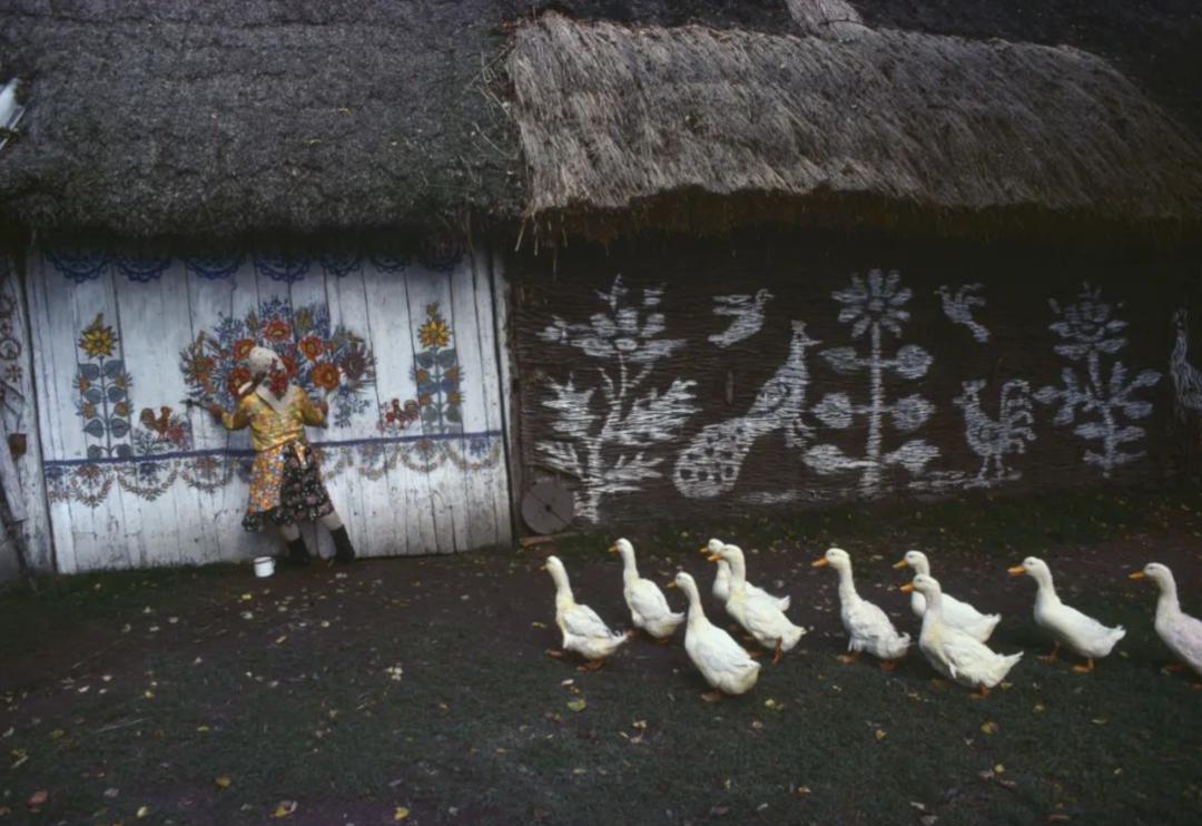 真的也能拍？难道大师只是空有头衔？